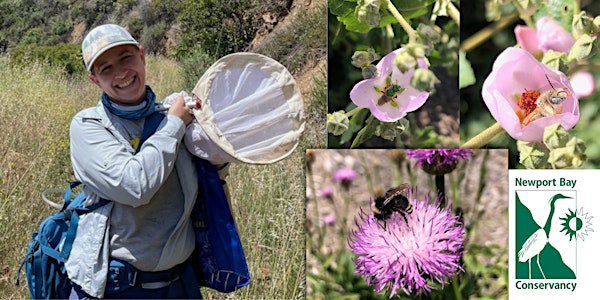 Naturalist Night: Wild Bees of Orange County, their lives and conservation