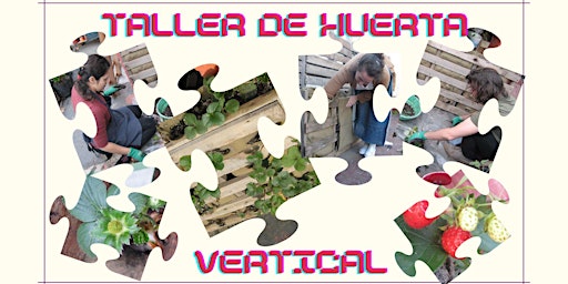 Imagem principal do evento Taller de Huerta Vertical