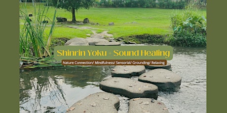 Forest Bathing + Sound Healing