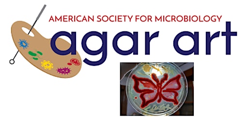 Agar Art Workshop (with chance to enter ASM's contest!)