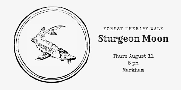 FLASH: Full Sturgeon Moon Forest Therapy Walk