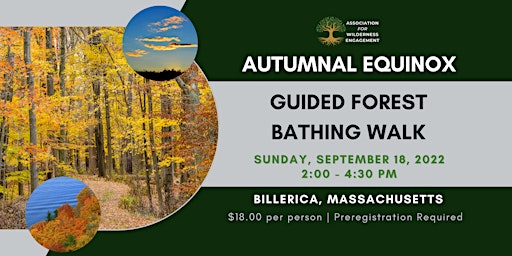 Autumnal Equinox Guided Forest Bathing Walk