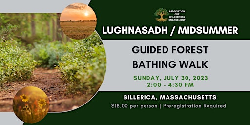 Lughnasadh Guided Forest Bathing Walk