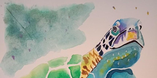 Watercolour Painting - Turtle
