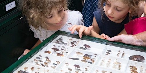 Tour |  Natural Science Collection