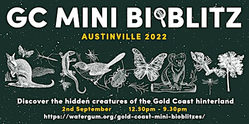 Gold Coast Mini BioBlitzes - Austinville