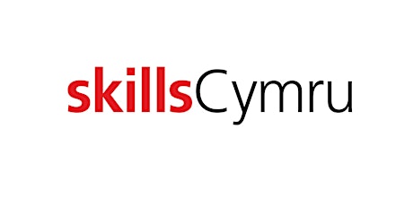 SkillsCymru Meet the Team Masterclass primary image
