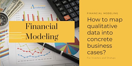 Financial Modeling - From Fuzzy Early Stage Project to Scaling Up