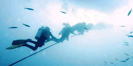 Try SCUBA Diving (21st September 2022)
