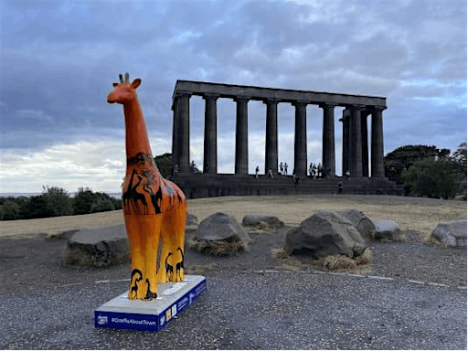 Edinburgh Giraffe About Town Postcard Tour