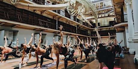 Yoga at the Museum November 20th 2022