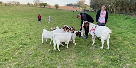 Picnic with the Goats