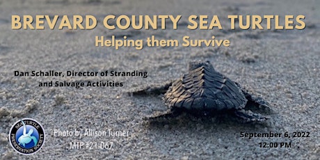 September Lunch & Learn - Brevard County Sea Turtles - Helping them Survive
