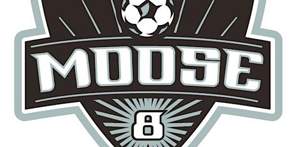 The 9th Annual Josh Thibodeau 4 v 4 Soccer Tournament