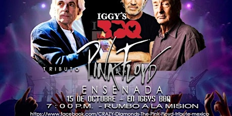 Tributo a PINK FLOYD