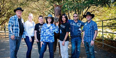 The Power of Team Building & Leadership with Horses