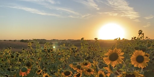 Sunset on the Farm: An Evening to Support Investigate Midwest & IowaWatch
