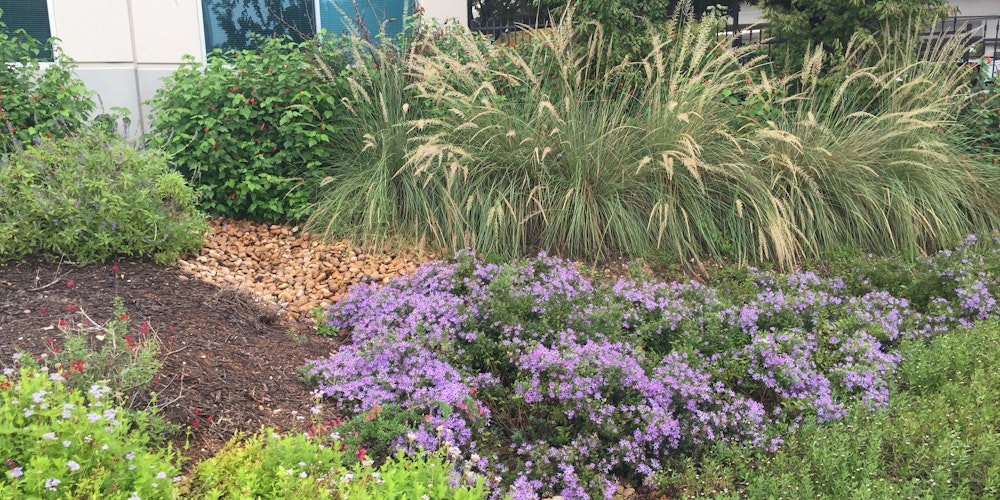 sustainable landscape practices for contractors workshop registration wed aug 30 2017 at 12 sustainable landscape practices for contractors workshop registration wed aug 30 2017 at 12