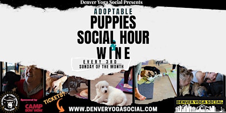 Adoptable Puppy Social Hour & Wine Sponsored by CAMP BOW WOW