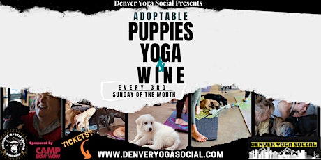 Adoptable Puppies, Yoga & Wine - Colorado Wine Week