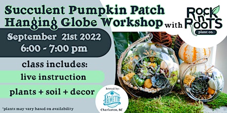 Succulent Pumpkin Patch Hanging Globe Workshop at Palmetto Brewing