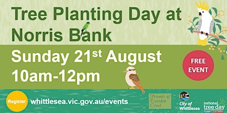 Planting Day at Norris Bank!
