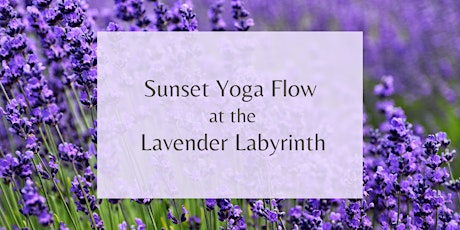 Sunset Yoga Flow into Yin at The Lavender Labyrinth!