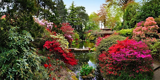 Art Class in the Gardens - Japanese Garden in Watercolour