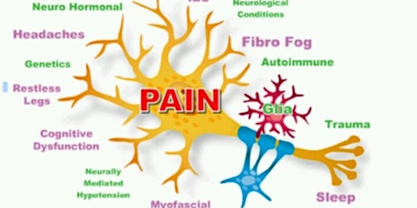 Pain Medications & Management primary image