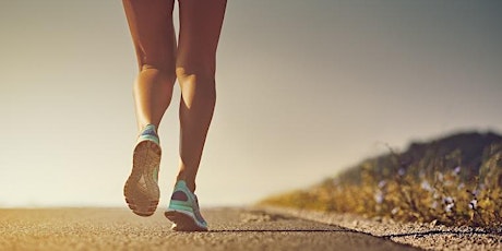 Primaire afbeelding van Singelloop Utrecht