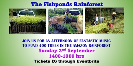 Fishponds Forest - funding Amazon rainforest trees music event