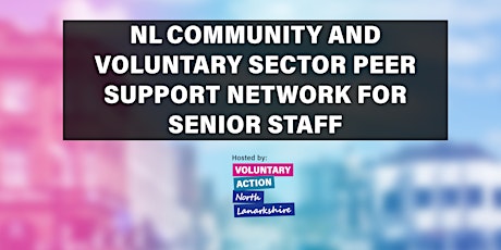 NL Community and Voluntary Sector Peer Support Network for Senior staff