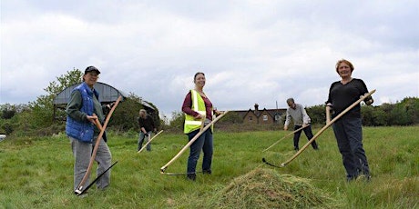 Scything Workshop at Tolworth Court Farm Moated Manor (Thursday Session)