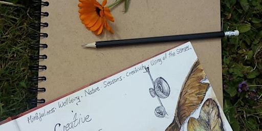 Creative Mindfulness Drawing from Nature Journals - Late Summer sessions