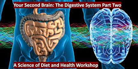 The Second Brain and the Importance of Good Gut Flora primary image