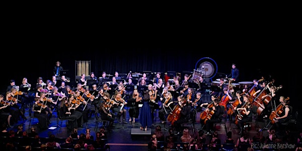 The Secret Life of Opera