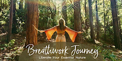 1h Breathwork  session & Yin Stretching in Nature, Victoria Park