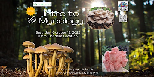 Intro to Mycology