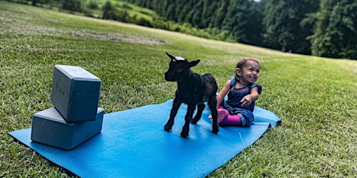Yoga With Baby Goats