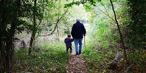 Best Practices for Woodlands: Sustainable Trails for Your Property