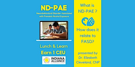 ND-PAE in a Nutshell presented by Indiana Alliance