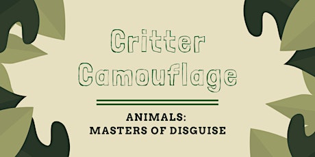 Critter Camouflage for grades K-4 primary image