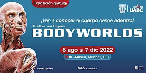 BODYWORLDS