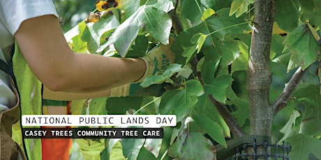 NACE National Public Lands Day Community Tree Care