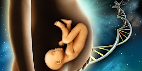 Free Virtual Workshop - Soul-Full Conception: Preconception Planning