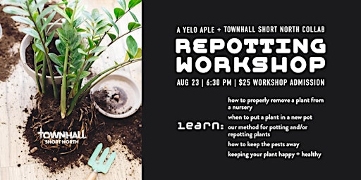 Repotting Workshop with Yelo Aple