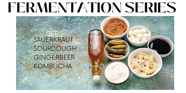 Fermentation Series