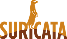 Organizer profile image