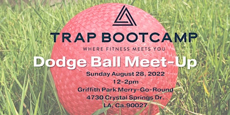 Trap Bootcamp Dodge Ball Meet Up
