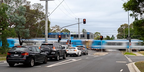 Ringwood Level Crossing Removal primary image